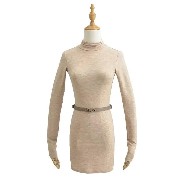 Women Turtleneck Long Sleeve Mini Dress With Sashes 5 Colors Elastic Slim Dresses