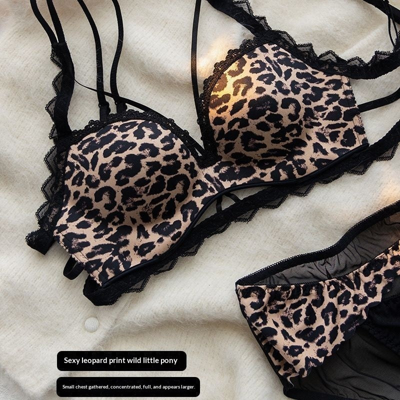 73cddd65baf3b758f50156e36f8b5f98