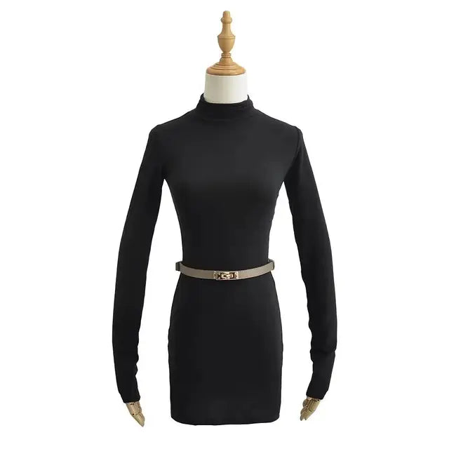 Women Turtleneck Long Sleeve Mini Dress With Sashes 5 Colors Elastic Slim Dresses