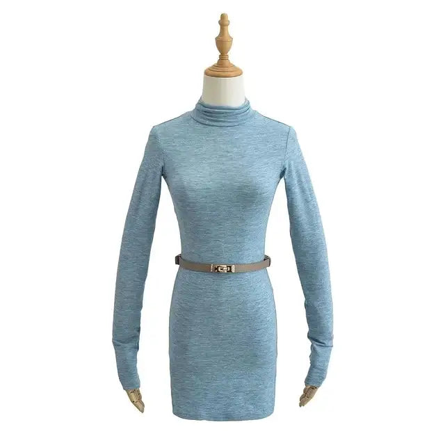 Women Turtleneck Long Sleeve Mini Dress With Sashes 5 Colors Elastic Slim Dresses